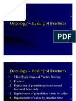 Healing of Fractures