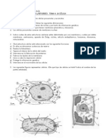 Actividades Refuerzo Tema 4