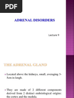 Lecture: Adrenal Disorders