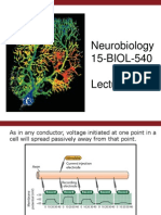 Neurobiology