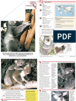 Wildlife Fact File - Mammals - Pgs. 21-30