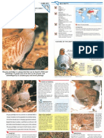 Wildlife Fact File - Birds - Pgs. 291-300