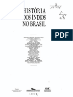 História: Indios e o Brasil