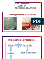 AULA 3 Microrganismos Indicadores