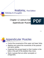 Human Anatomy,: Chapter 12 Lecture Outline: Appendicular Muscles