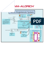 Renin-Angiotensin System