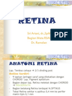 Retina