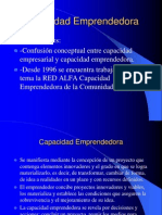 Capacidad Emprendedora