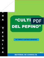 Ficha Técnica: Pepino 2013.