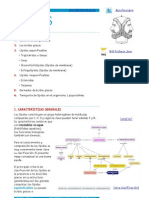 Lípidos Apuntes PDF