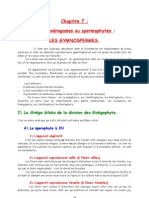 10BV CHAP7 Les Gymnospermes