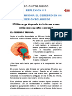 r.3 Como Funciona El Cerebro en Un Lider Ontologico