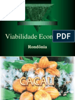 Viabilidade Econômica Do Cacau