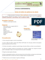 Protocolo Observação Da Epiderme Do Bolbo Da Cebola