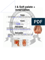 Hard & Soft Palate + Innervation