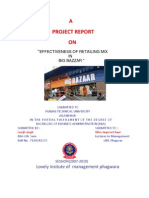 Project Report