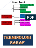 Tisu Neural Neurofisiologi Neuron Neuroglia Terminologi Saraf