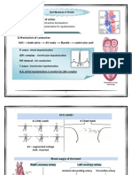 ECG-Dr.Allam منقول PDF