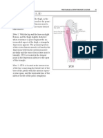 3 WHO Standard Acupuncture Point Locations in The Western Part 3