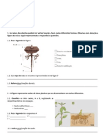 Ficha de Avaliação CN5 - Plantas PDF