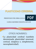 Plasticidad Cerebral Expo