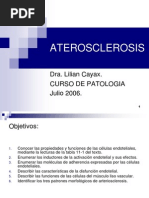 ATEROSCLEROSIS, Clase Magistral Lilian.