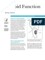 Thyroid Function Tests: What Is The Thyroid Gland?