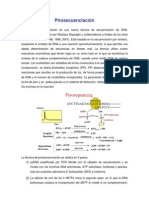 1 Pirosecuenciacion