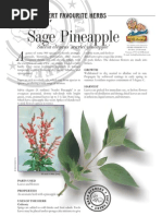 Sage Pineapple: ERB Erbert Favourite Herbs