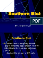 Southern Blot