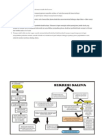 Proses Pembentukan Dan Sekresi Saliva Pada Dasarnya Terjadi Oleh 2 Proses