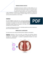 Embarazo Gemelar y Multiple Fisiologia