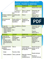 Sistema Musculo - Esqueletico