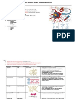 Neuro Cells & Neurotransmitters