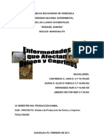 Exposicion de Enfermedades en Ovis y Capri