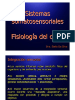 Sistemas Somatosensoriales y Fisiología Del Dolor