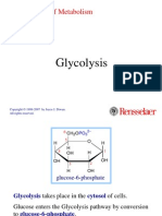 8 Glycolysis