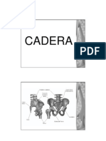 Cadera