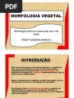 2aula Morfologia Vegetal