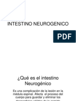 Intestino Neurogenico