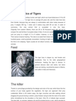 Characteristics of Tigers