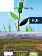 Molecular Farming