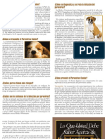 Parvo Brochure Spanish