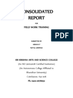 Consolidated Report