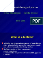 Biofilm Process