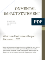 Environmental Impact Statement