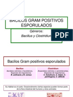 Bacilos Gram Positivos Esporulados