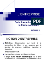 L'entreprise Individuelle Et Sociétaire