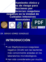 Comportamiento Clínico de Las Infecciones Por Staphylococcus Coagulasa FORO