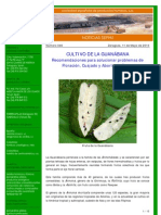 046 - 11.05.10 - Cultivo de La Guanábana PDF